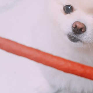 민도토리님이 올린 리뷰 사진 3