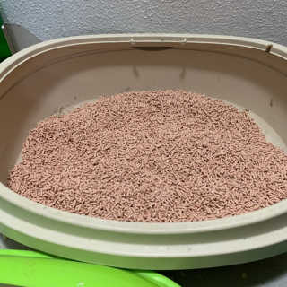 [펫토리아] BEST 고양이두부모래 6L 한삽뚝딱 — 2.5점을 준 리뷰어가 2019년 2월 올린 사용 사진