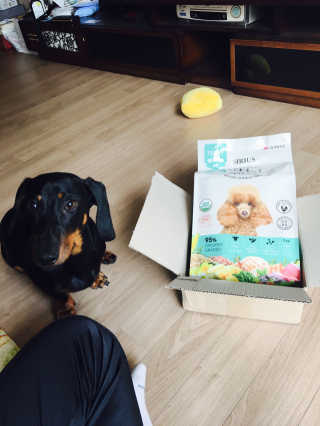 백수진님이 올린 리뷰 사진 1