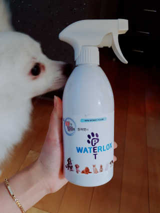 YouReena님이 올린 리뷰 사진 1