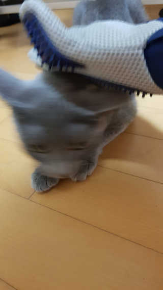 숑이숑숑님이 올린 리뷰 사진 3