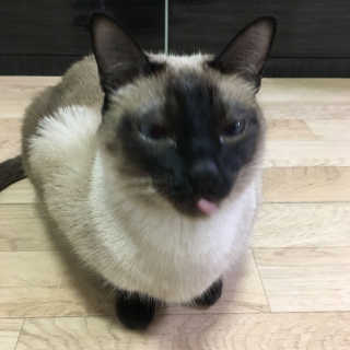 지니님이 올린 리뷰 사진 3