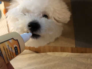 BADA님이 올린 리뷰 사진 3