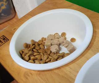 김푸들님이 올린 리뷰 사진 3