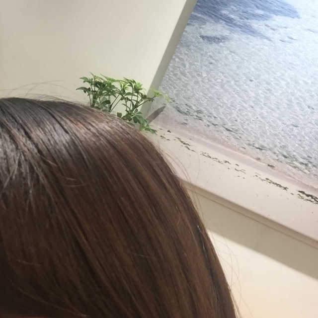 다슈 데일리 뽕채가루 펌프형 리뷰 사진