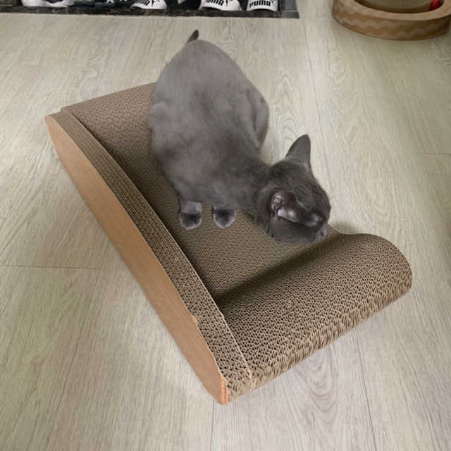 [펫토리아] 한발뚝딱 고양이 스크래쳐 BEST상품 리뷰 사진