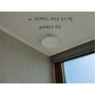 꿀꿀꾸리님이 올린 리뷰 사진 2