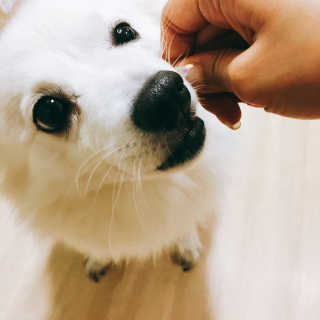 박선영님이 올린 리뷰 사진 4