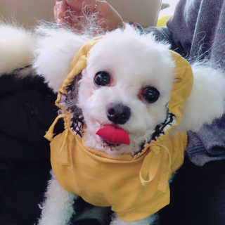 HyoMinKim님이 올린 리뷰 사진 3