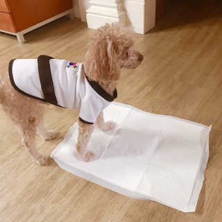 minji님이 올린 리뷰 사진 2