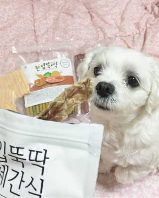 나나페이지님이 올린 리뷰 사진 1