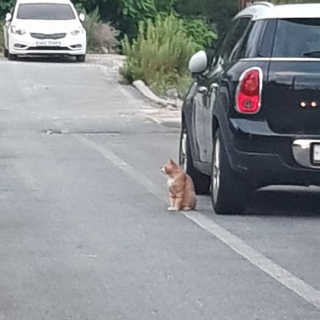 심주현님이 올린 리뷰 사진 4