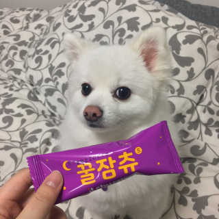 0ee님이 올린 리뷰 사진 3