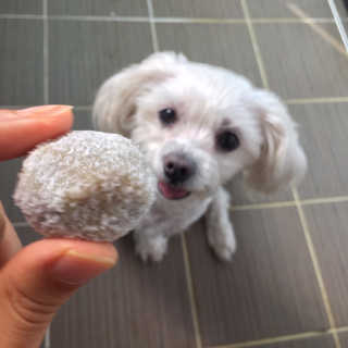 김주은님이 올린 리뷰 사진 1