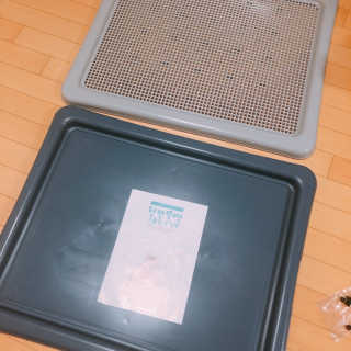 [펫토리아] 한판뚝딱 강아지 배변판 실속형,초대형 — 4점을 준 리뷰어가 2019년 6월 올린 사용 사진