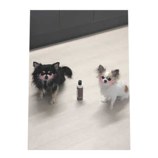 은쓸님이 올린 리뷰 사진 3