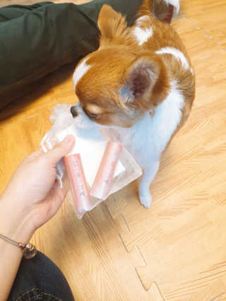 꼬몽쓰님이 올린 리뷰 사진 2