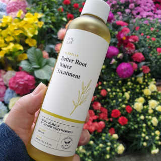 달리프 클로렐라 베러 루트 워터트리트먼트 200ml — 4점을 준 리뷰어가 2019년 4월 올린 사용 사진