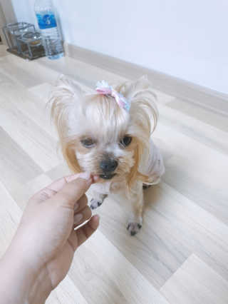 JinjuLee님이 올린 리뷰 사진 3