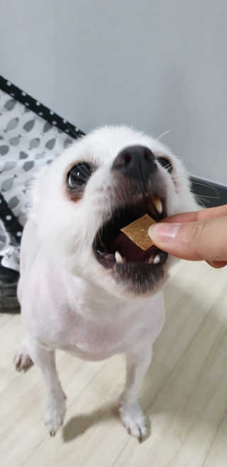 지혴님이 올린 리뷰 사진 3