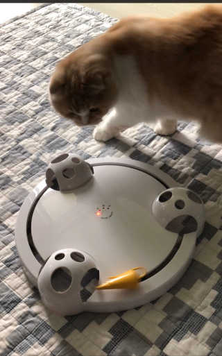 띠띠님이 올린 리뷰 사진 3