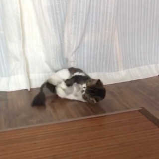 문세인님이 올린 리뷰 사진 3