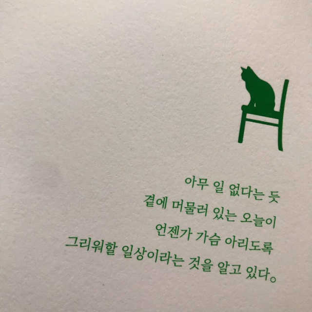 무탈한 오늘 리뷰 사진
