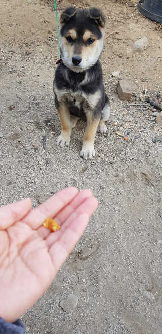 쭈하님이 올린 리뷰 사진 1
