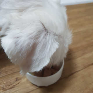 뽀오오옹님이 올린 리뷰 사진 3