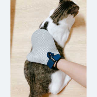 minahjjing님이 올린 리뷰 사진 1