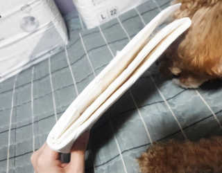 [펫토리아] 한장뚝딱 울트라 탈취패드 배변패드 22매 — 5점을 준 리뷰어가 2020년 2월 올린 사용 사진
