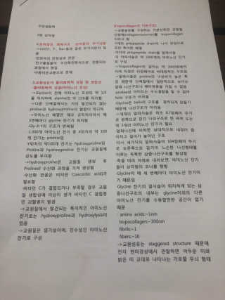 졍잉♡님이 올린 리뷰 사진 2