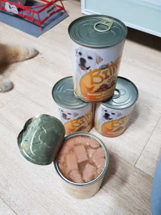 이엘리사님이 올린 리뷰 사진 3