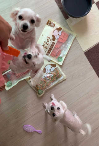 이끌림님이 올린 리뷰 사진 2