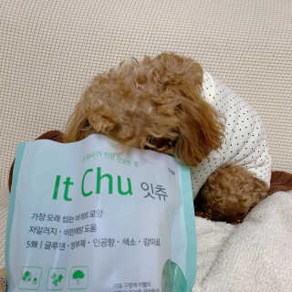 규빈띵쏘님이 올린 리뷰 사진 3