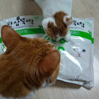 [펫토리아] BEST 고양이두부모래 6L 한삽뚝딱 — 5점을 준 리뷰어가 2019년 2월 올린 사용 사진