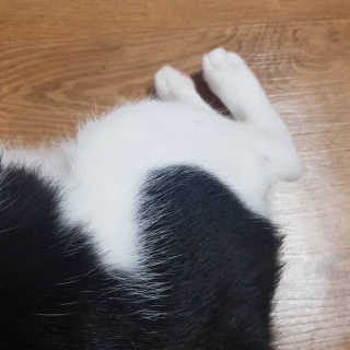 동그라미님이 올린 리뷰 사진 1