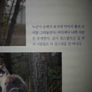 김현진님이 올린 리뷰 사진 2