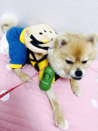 미한수님이 올린 리뷰 사진 2