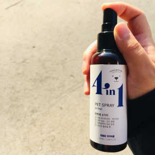 강아지스토리 포인원 모이스처 미스트 100ml — 5점을 준 리뷰어가 2018년 11월 올린 사용 사진