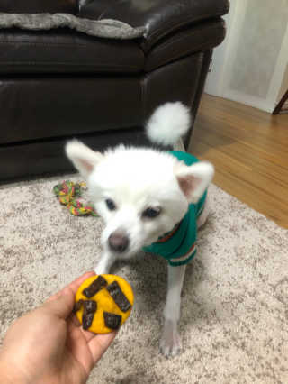 inflower님이 올린 리뷰 사진 2