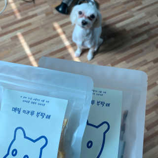 [어글어글] 반려견 친환경 간식 9종 세트 — 4점을 준 리뷰어가 2020년 3월 올린 사용 사진