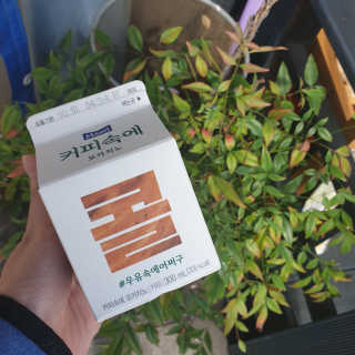 히히호호님이 올린 리뷰 사진 2