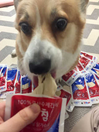 백곰포비님이 올린 리뷰 사진 2