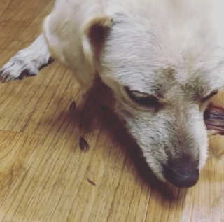 뽀찌🧚‍♀️님이 올린 리뷰 사진 1