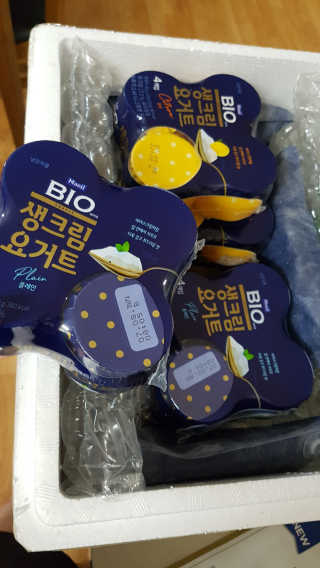 [매일 바이오] 생크림요거트 플레인 12개 + 유자 12개 — 5점을 준 리뷰어가 2019년 6월 올린 사용 사진