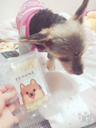 슈딘님이 올린 리뷰 사진 1