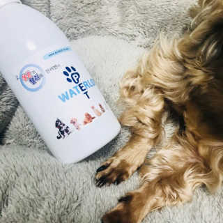 옞ee님이 올린 리뷰 사진 1