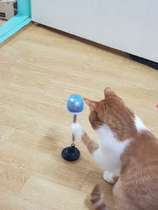 이용재님이 올린 리뷰 사진 3