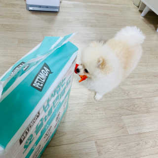 임수빈님이 올린 리뷰 사진 2